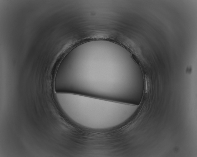 X0000094790300200711160923