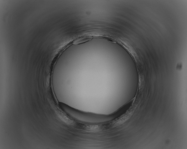 X0000094790301200711160923