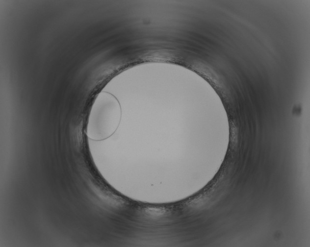 X0000094790302200711160923