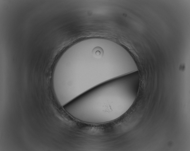 X0000094790303200711160923