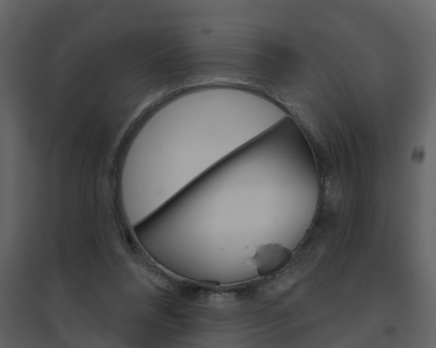 X0000094790304200711160923