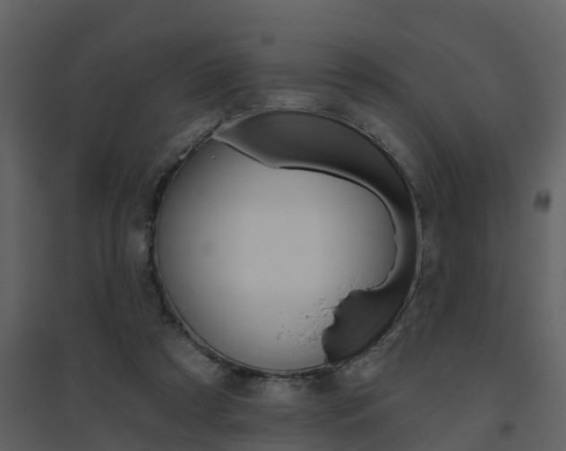 X0000094790305200711160923