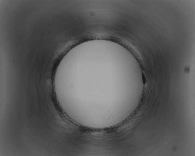 X0000094790306200711160923