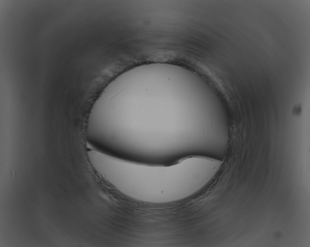X0000094790307200711160923