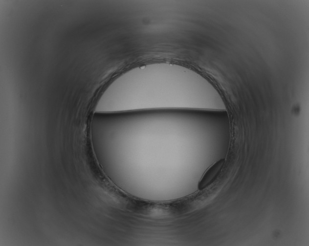 X0000094790308200711160923