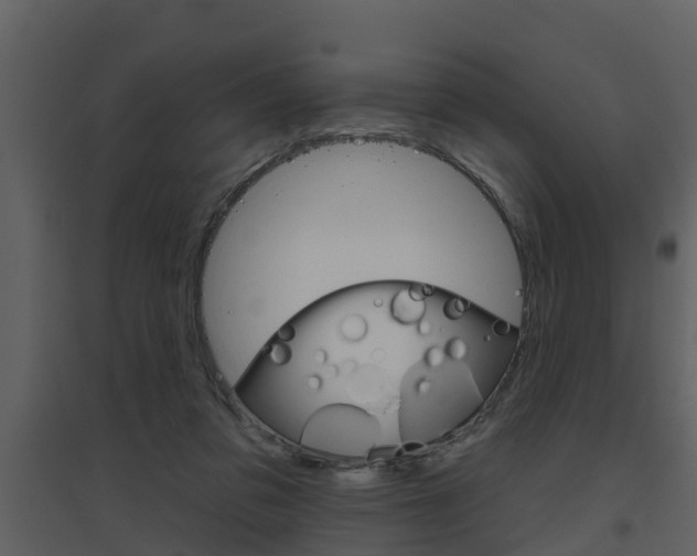 X0000094790309200711160923