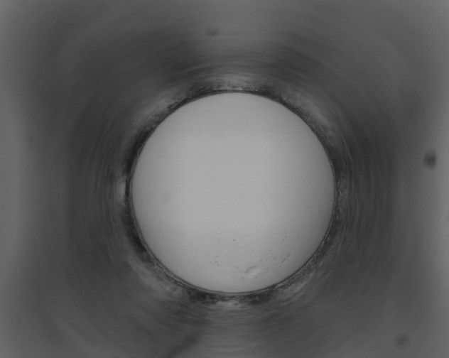 X0000094790310200711160923