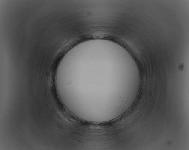 X0000094790311200711160923