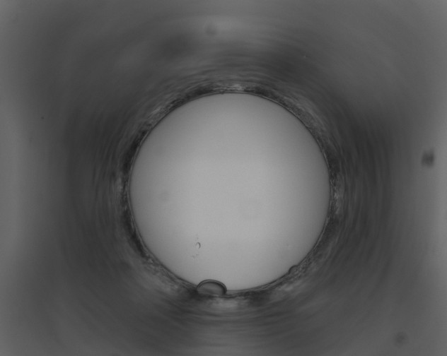 X0000094790314200711160923