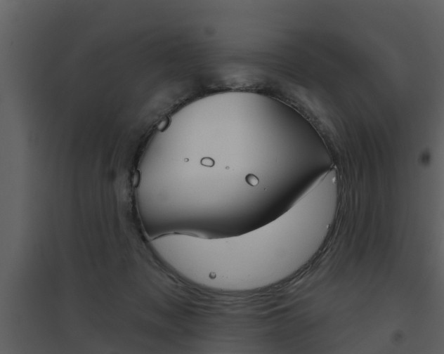 X0000094790317200711160923