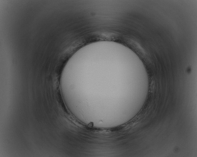 X0000094790318200711160923