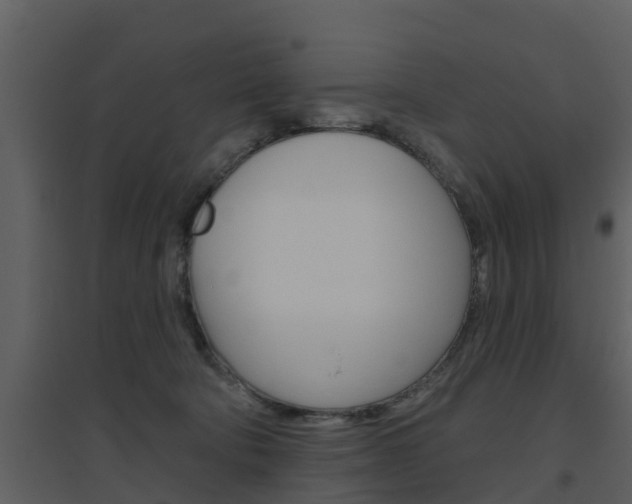 X0000094790322200711160923