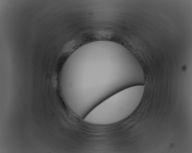 X0000094790323200711160923