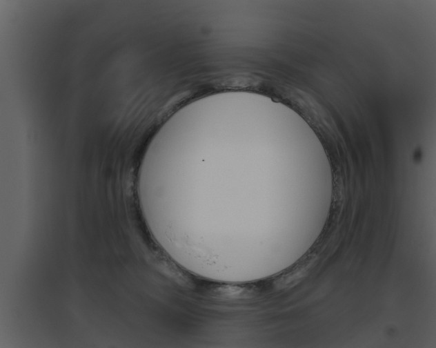 X0000094790326200711160923