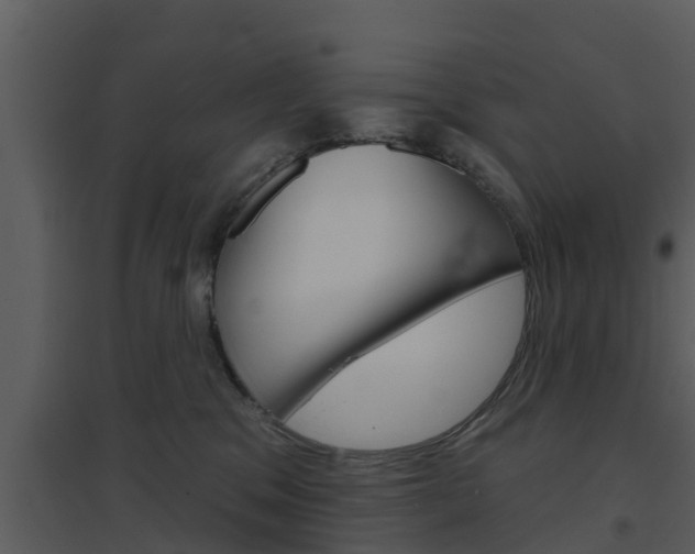 X0000094790329200711160923