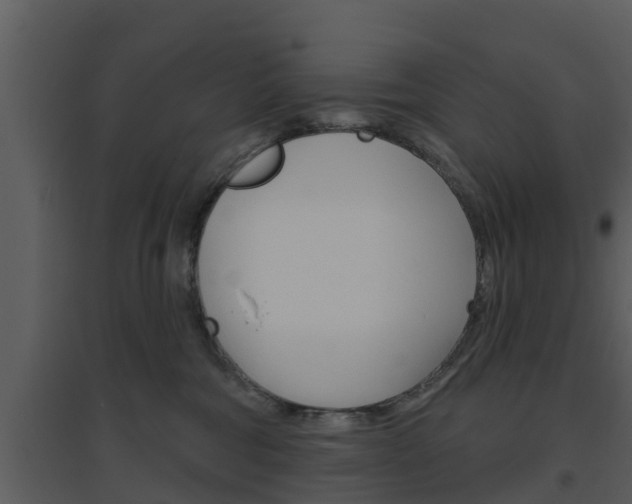 X0000094790330200711160923