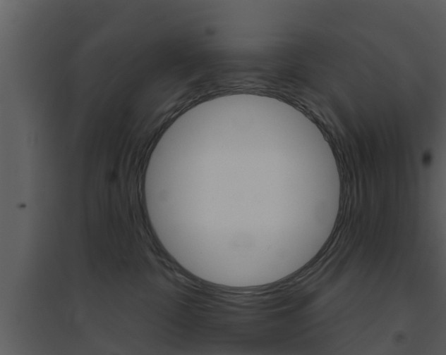 X0000094790332200711160923