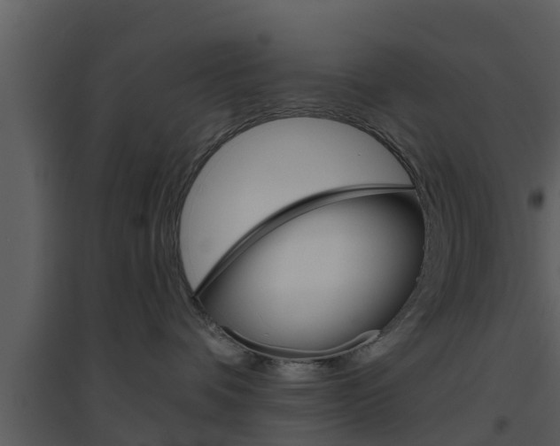 X0000094790336200711160923