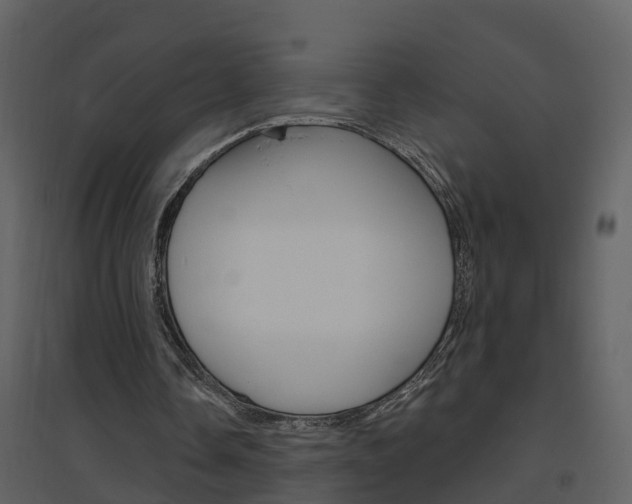 X0000094790338200711160922