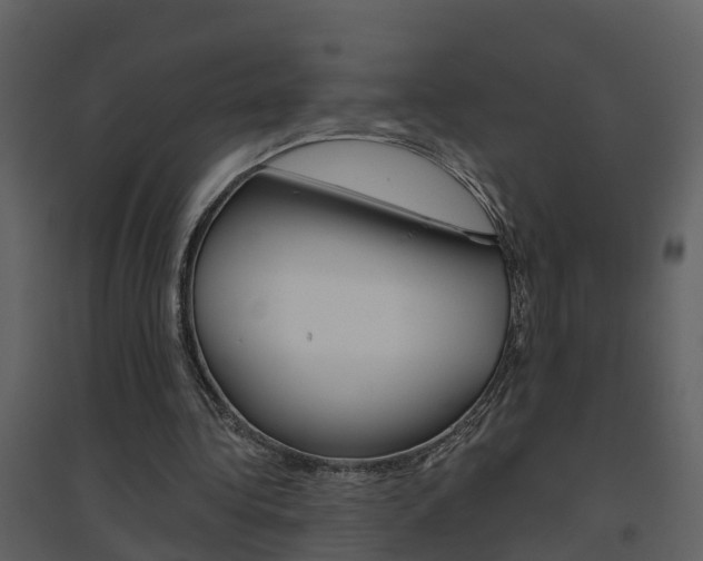 X0000094790340200711160922