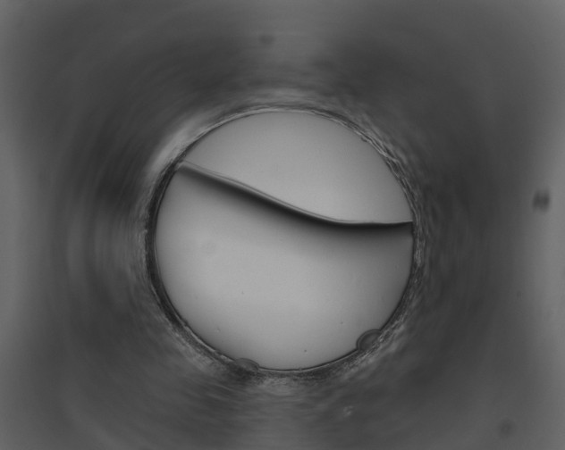 X0000094790341200711160922