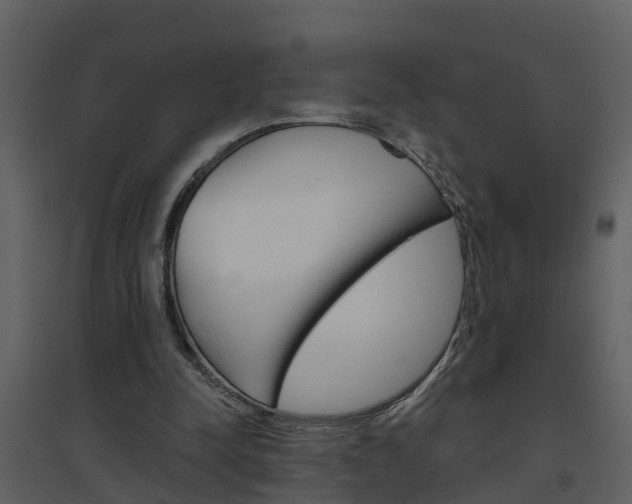 X0000094790342200711160922