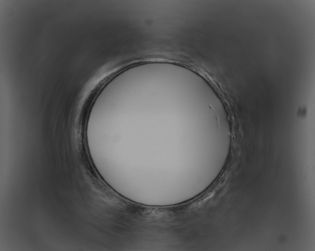 X0000094790343200711160922