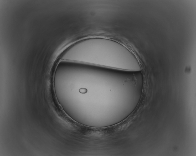 X0000094790344200711160922