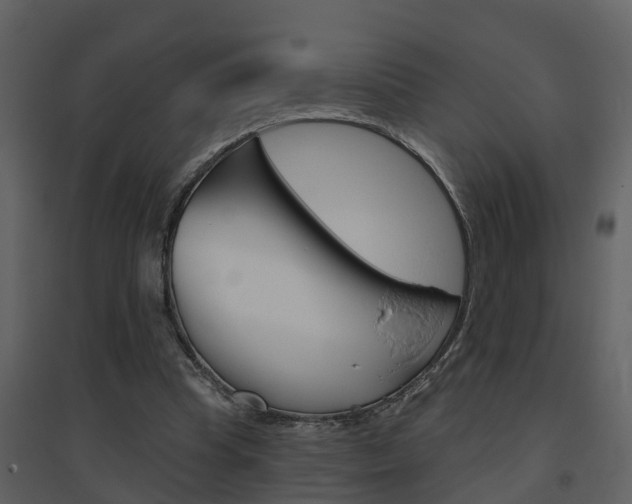 X0000094790345200711160922