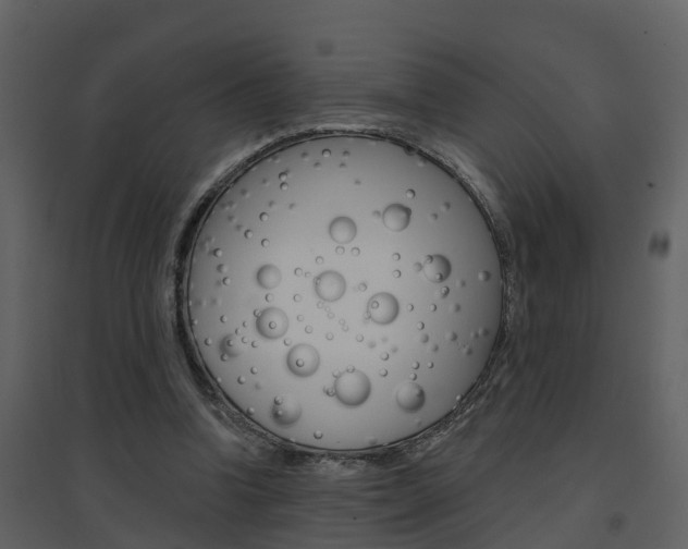 X0000094790346200711160922