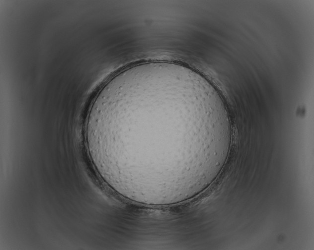 X0000094790347200711160922