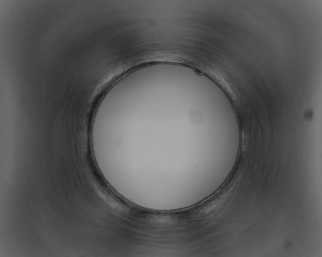 X0000094790349200711160922