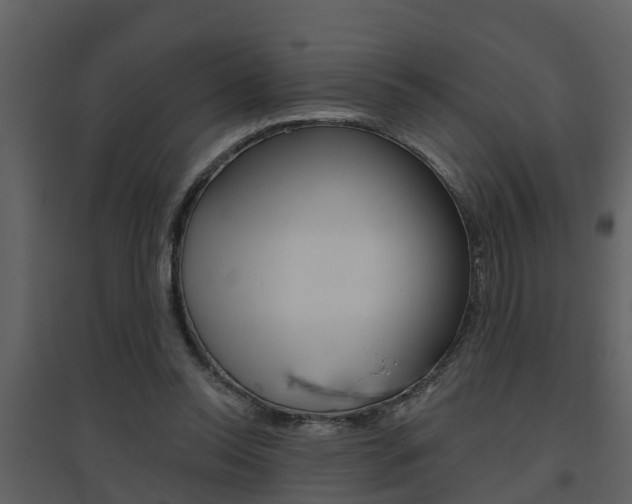 X0000094790350200711160922