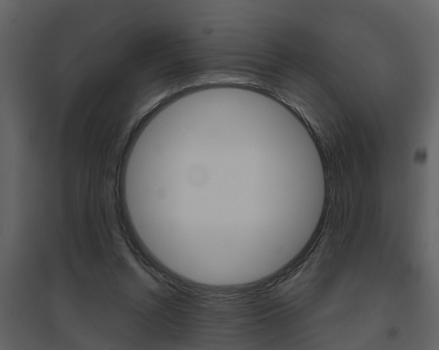 X0000094790352200711160922