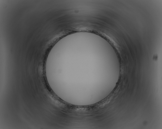 X0000094790353200711160922