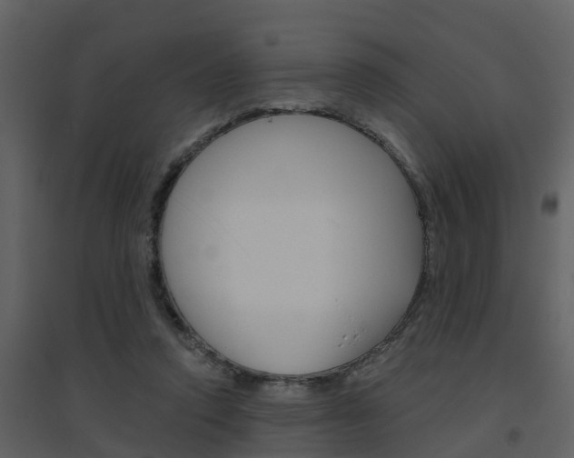 X0000094790354200711160922