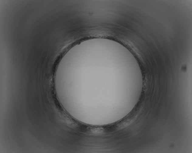 X0000094790355200711160922