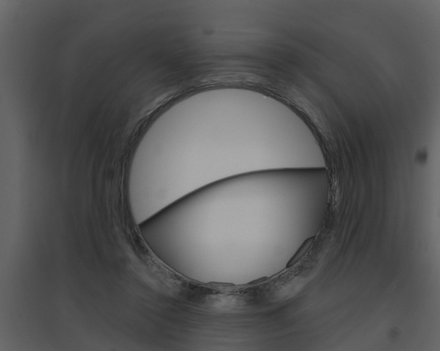 X0000094790356200711160922