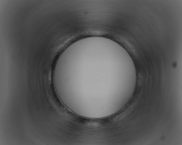 X0000094790358200711160922