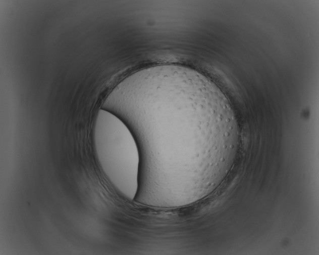 X0000094790359200711160922