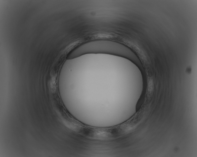 X0000094790360200711160922