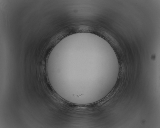 X0000094790361200711160922