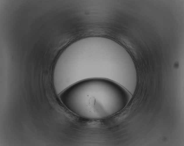 X0000094790362200711160922