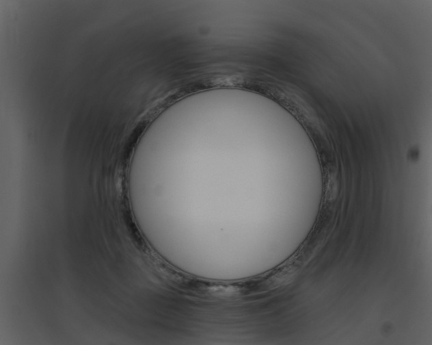 X0000094790363200711160922