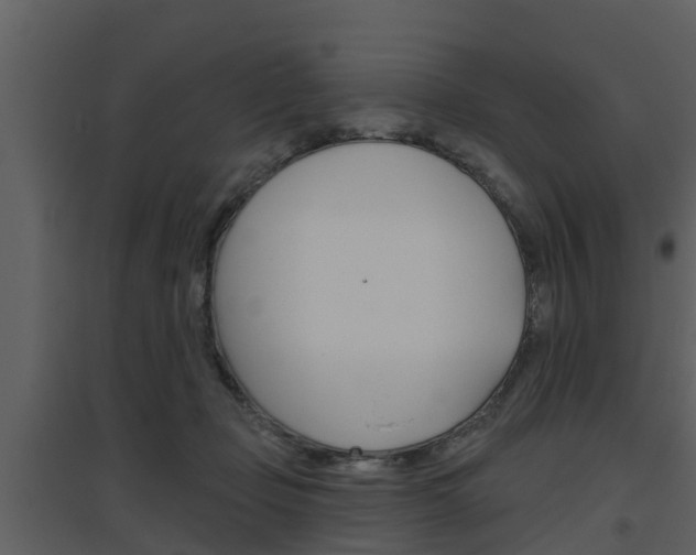 X0000094790365200711160922