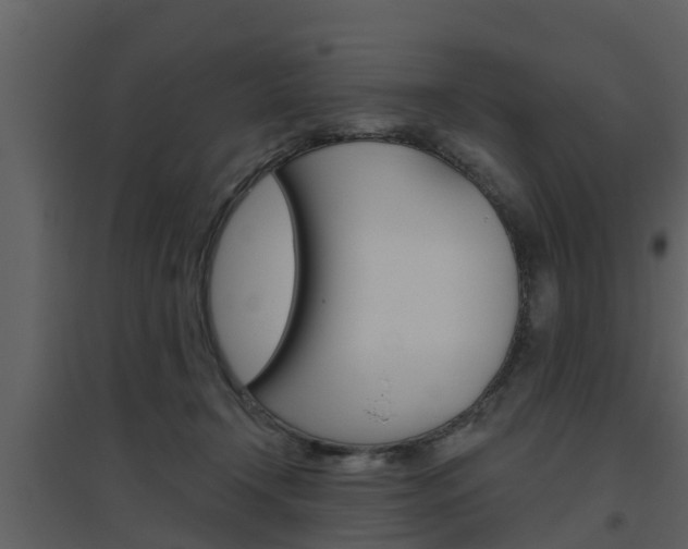 X0000094790366200711160922