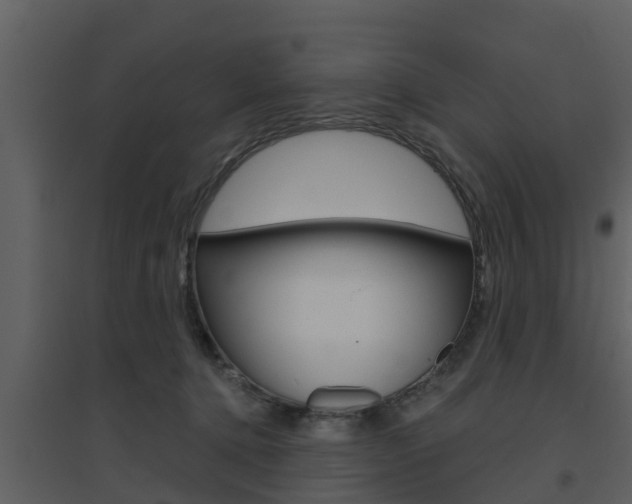 X0000094790368200711160922