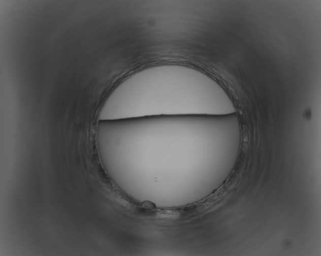 X0000094790369200711160922