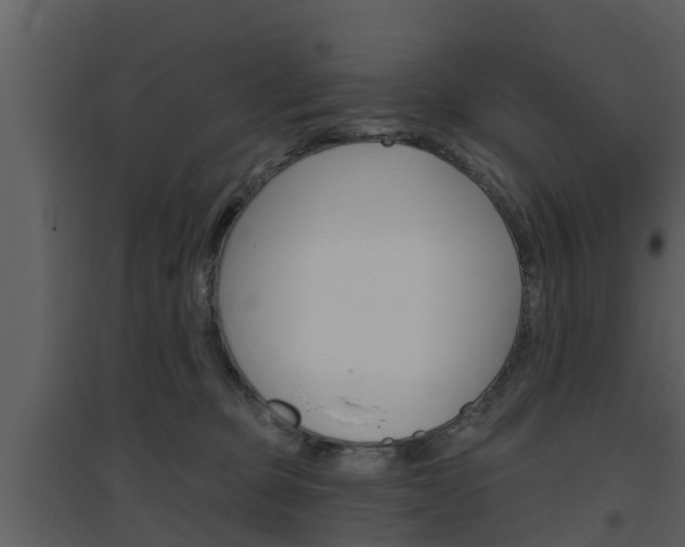 X0000094790373200711160922