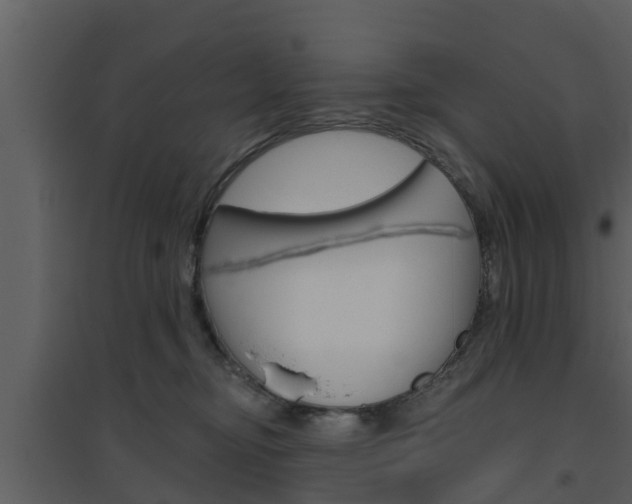 X0000094790374200711160922
